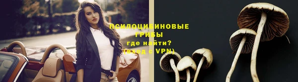 apvp Новозыбков